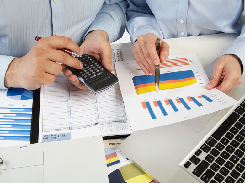 Risk Management Systems Development