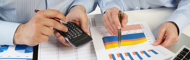 Risk Management Systems Development